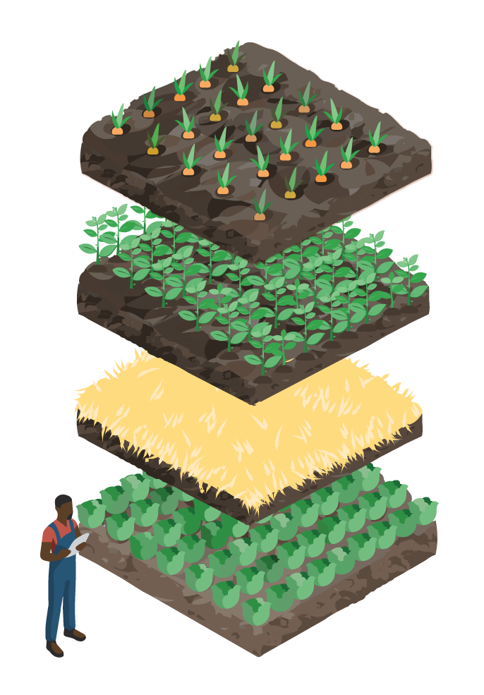 Illustration of a barn, fields and a tractor