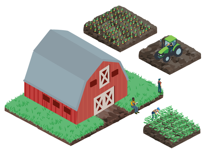 Field and harvest illustration