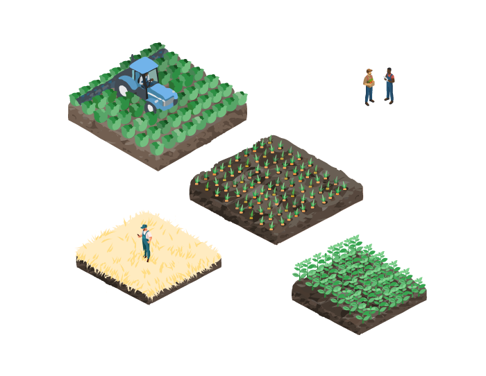 Storage illustration